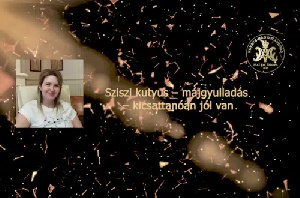 Sziszi kutyus – májgyulladás – kicsattanóan jól van